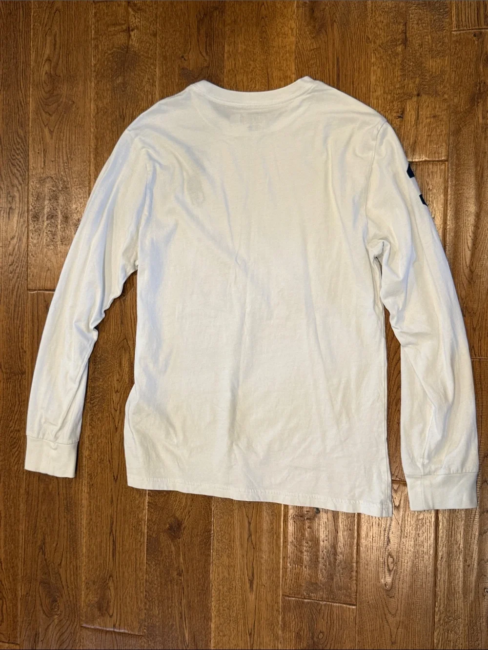 Ralph Large Large Pony long sleeve shirt